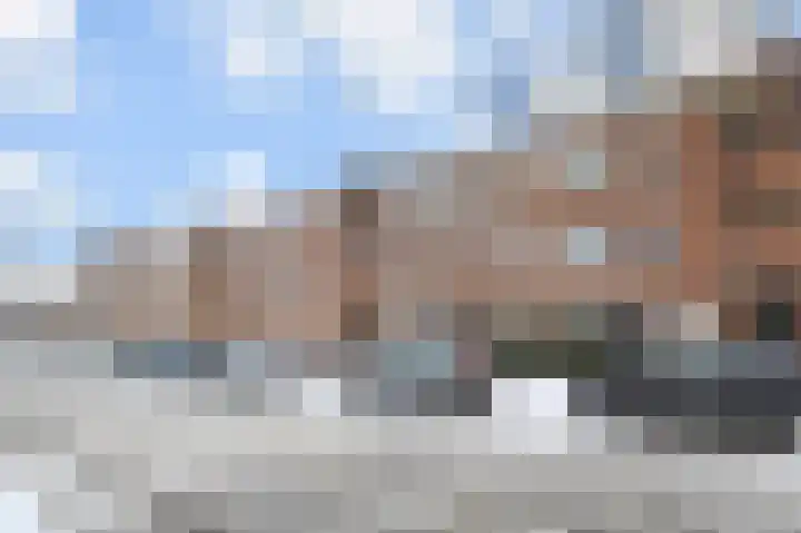 Soestdijksekade 510 Den Haag thumbnail 18