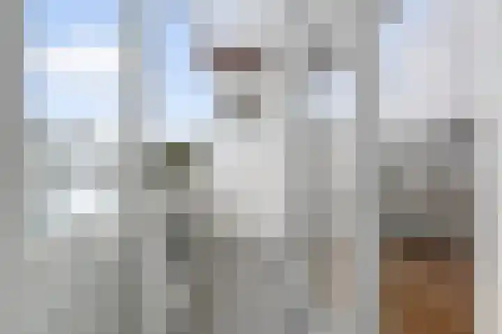 Soestdijksekade 510 Den Haag thumbnail 20