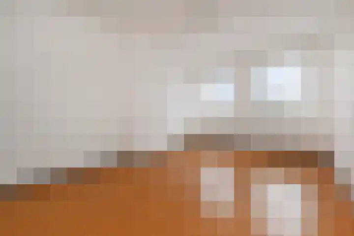 Soestdijksekade 510 Den Haag thumbnail 7