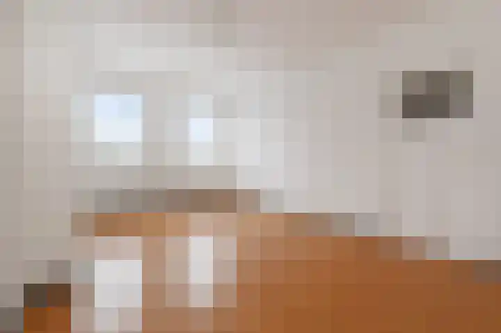 Soestdijksekade 510 Den Haag thumbnail 8