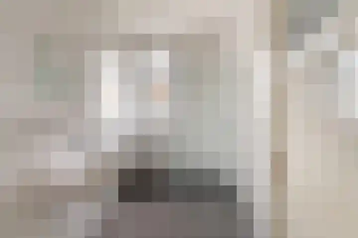 Soestdijksekade 511 Den Haag thumbnail 13