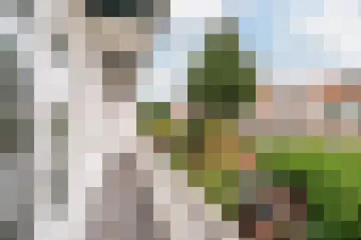 Soestdijksekade 511 Den Haag thumbnail 20