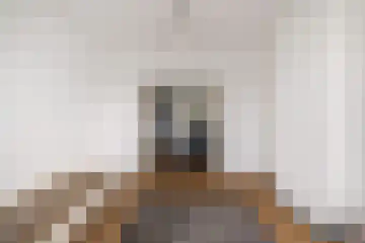 Soestdijksekade 511 Den Haag thumbnail 4