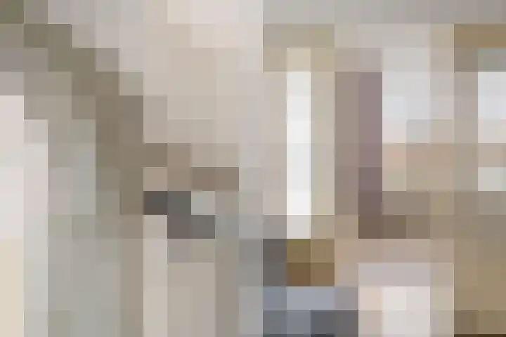 Soestdijksekade 511 Den Haag thumbnail 6