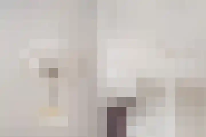 Soestdijksekade 511 Den Haag thumbnail 7