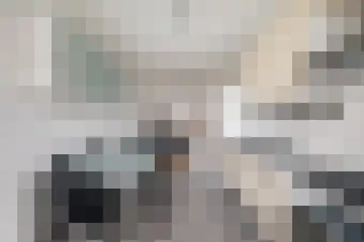 Soestdijksekade 511 Den Haag thumbnail 8
