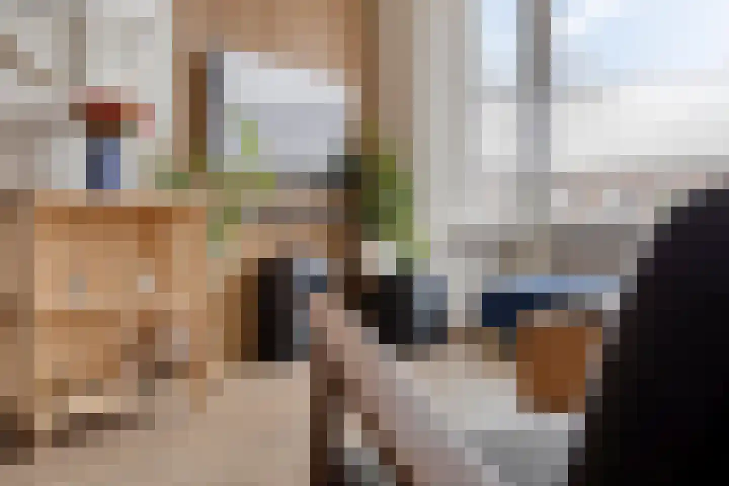 Soestdijksekade 545 Den Haag thumbnail 10
