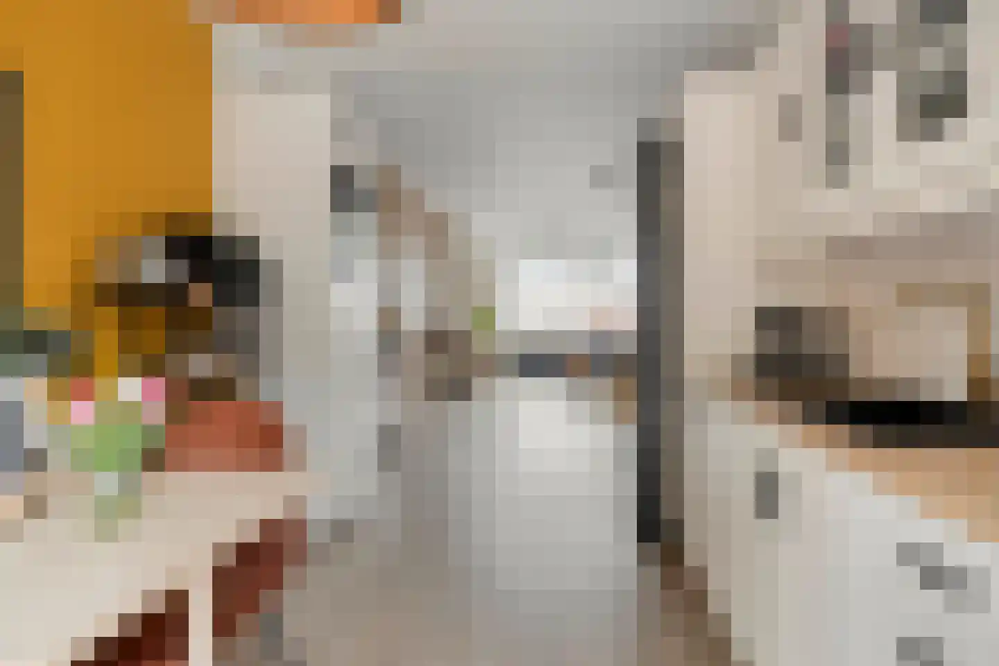 Soestdijksekade 545 Den Haag thumbnail 12