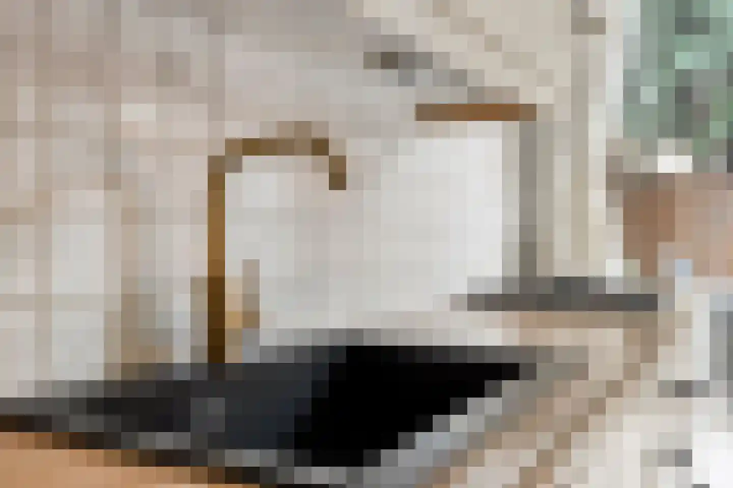 Soestdijksekade 545 Den Haag thumbnail 13