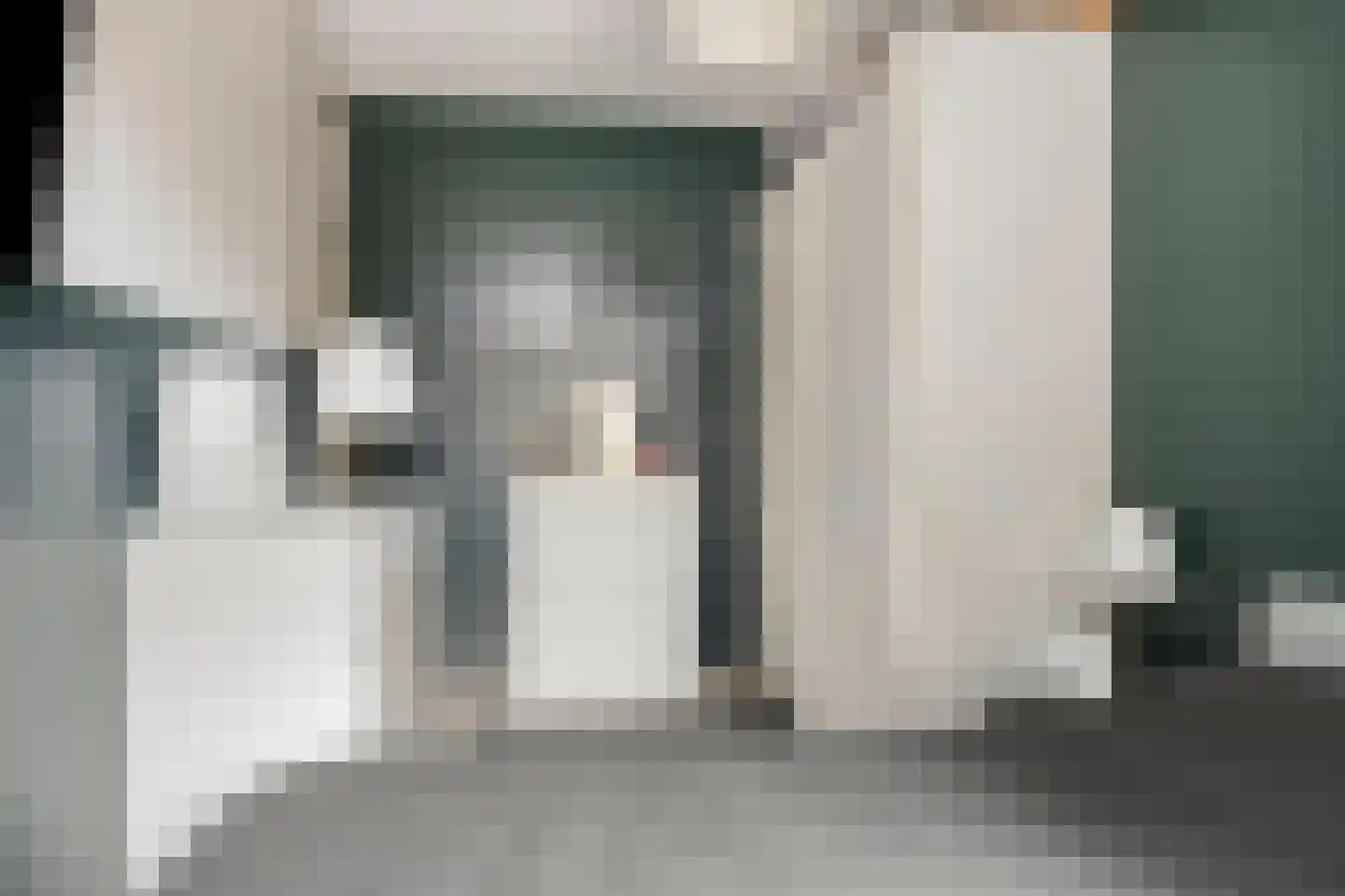 Soestdijksekade 545 Den Haag thumbnail 16
