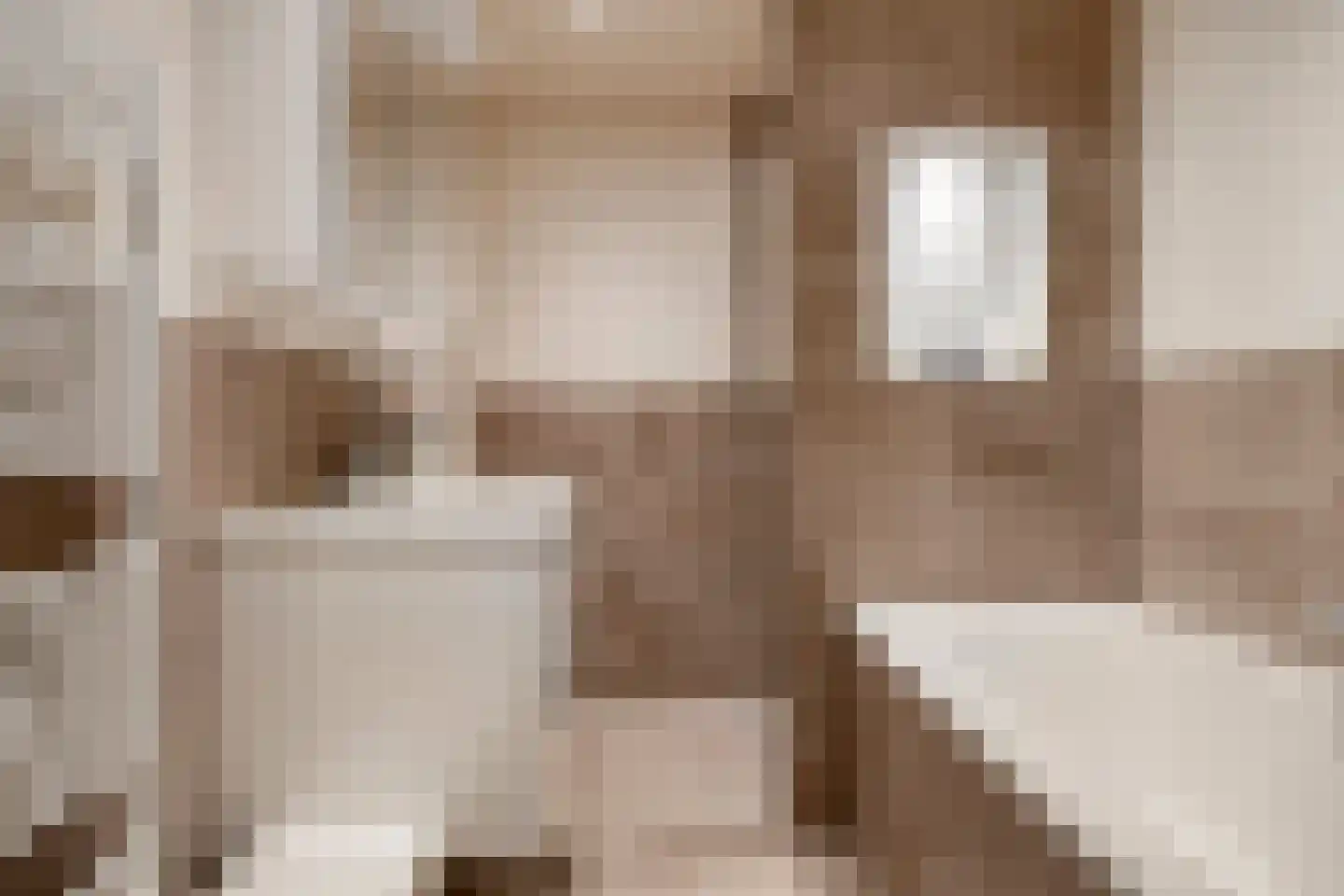 Soestdijksekade 545 Den Haag thumbnail 17