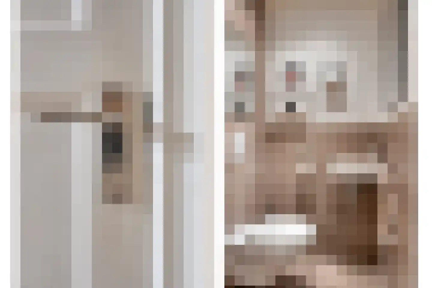Soestdijksekade 545 Den Haag thumbnail 4