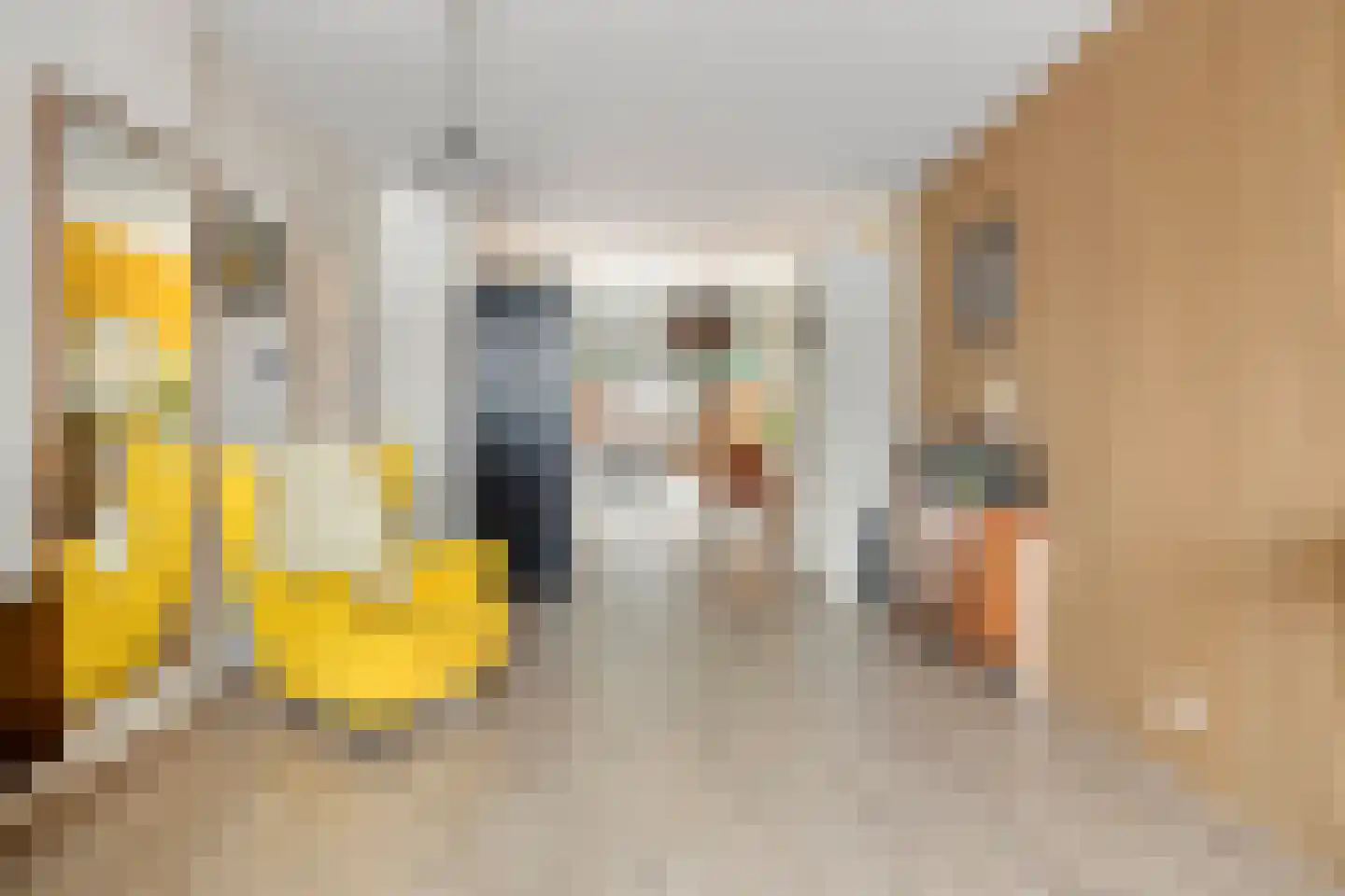 Soestdijksekade 545 Den Haag thumbnail 7