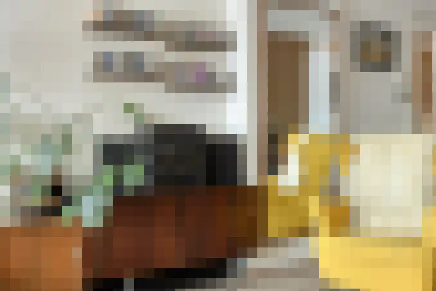 Soestdijksekade 545 Den Haag thumbnail 8
