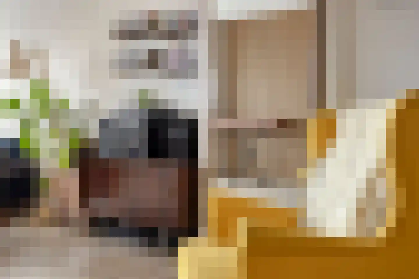 Soestdijksekade 545 Den Haag thumbnail 9