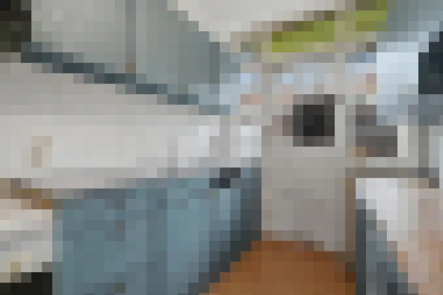 Soestdijksekade 557 Den Haag thumbnail 10