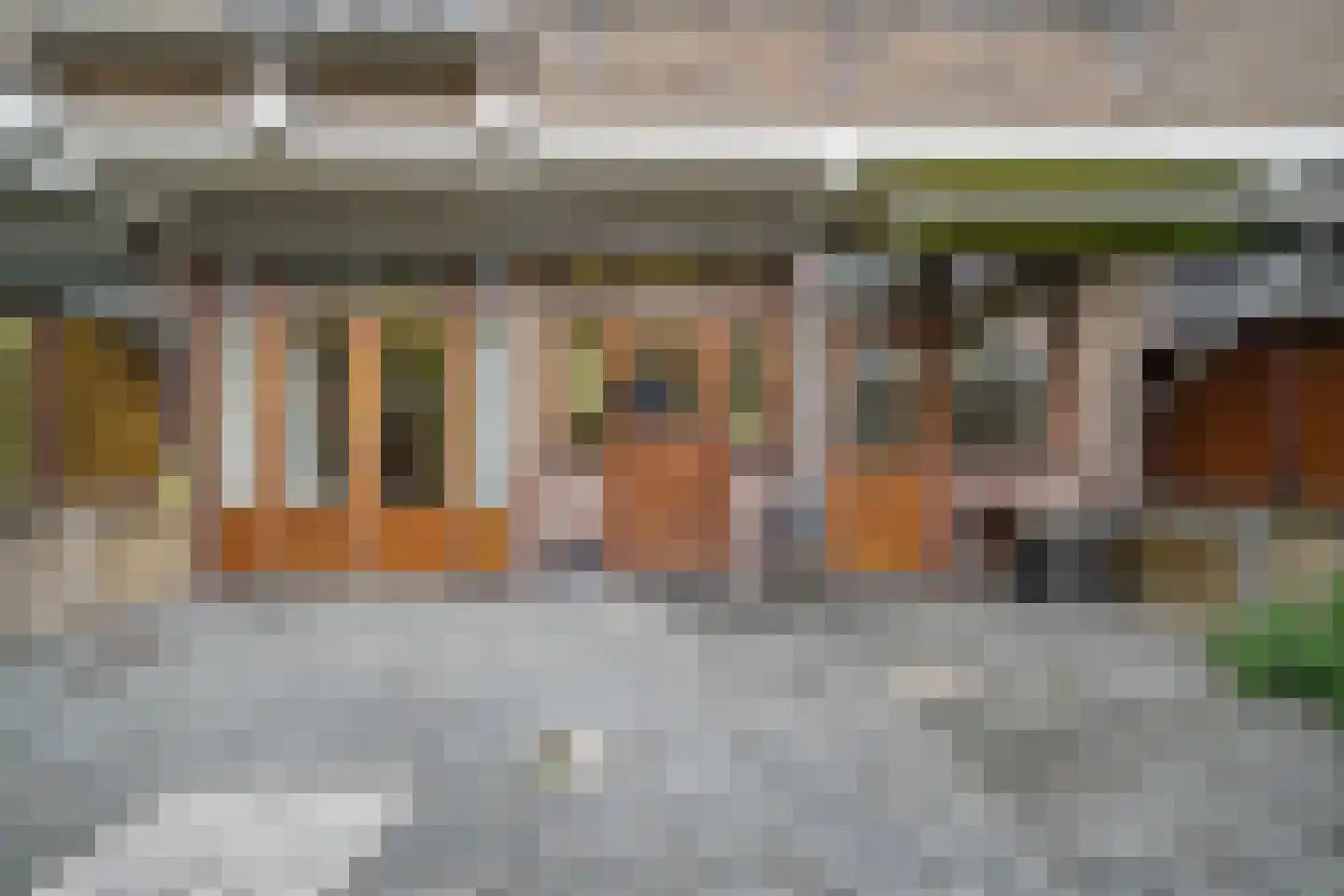 Soestdijksekade 557 Den Haag thumbnail 12