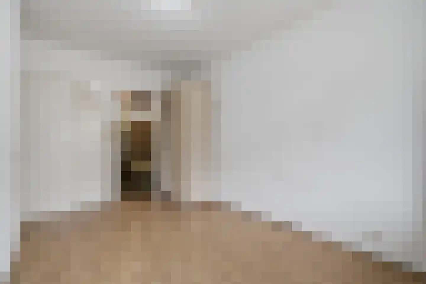 Soestdijksekade 557 Den Haag thumbnail 14