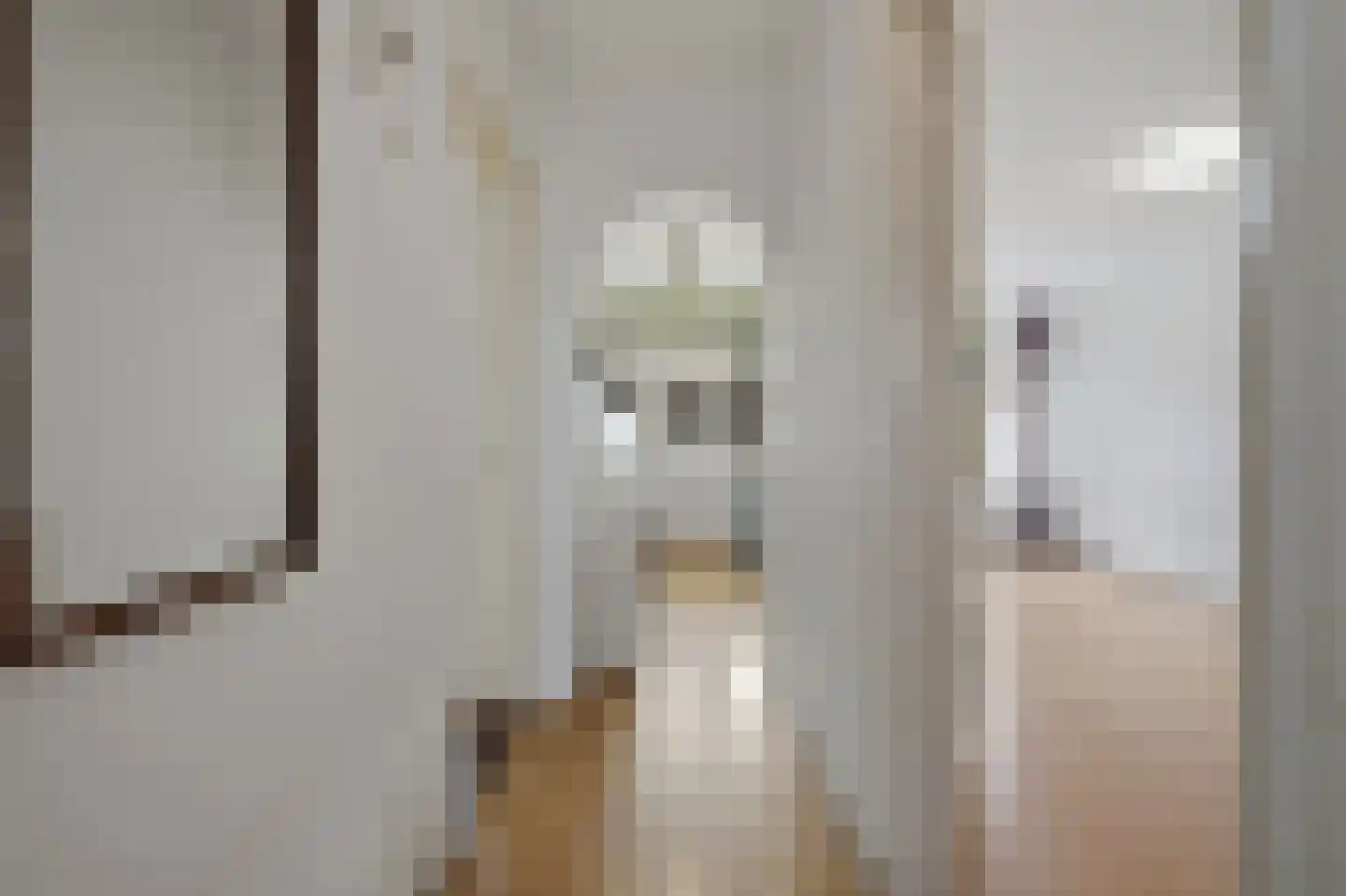 Soestdijksekade 557 Den Haag thumbnail 17