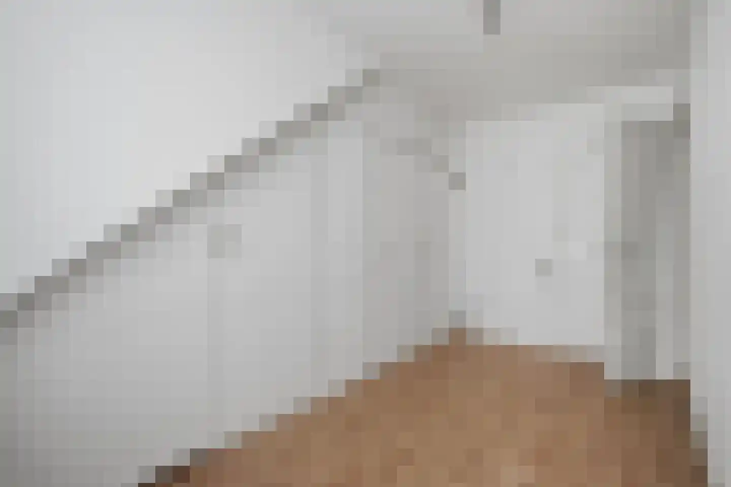 Soestdijksekade 557 Den Haag thumbnail 19