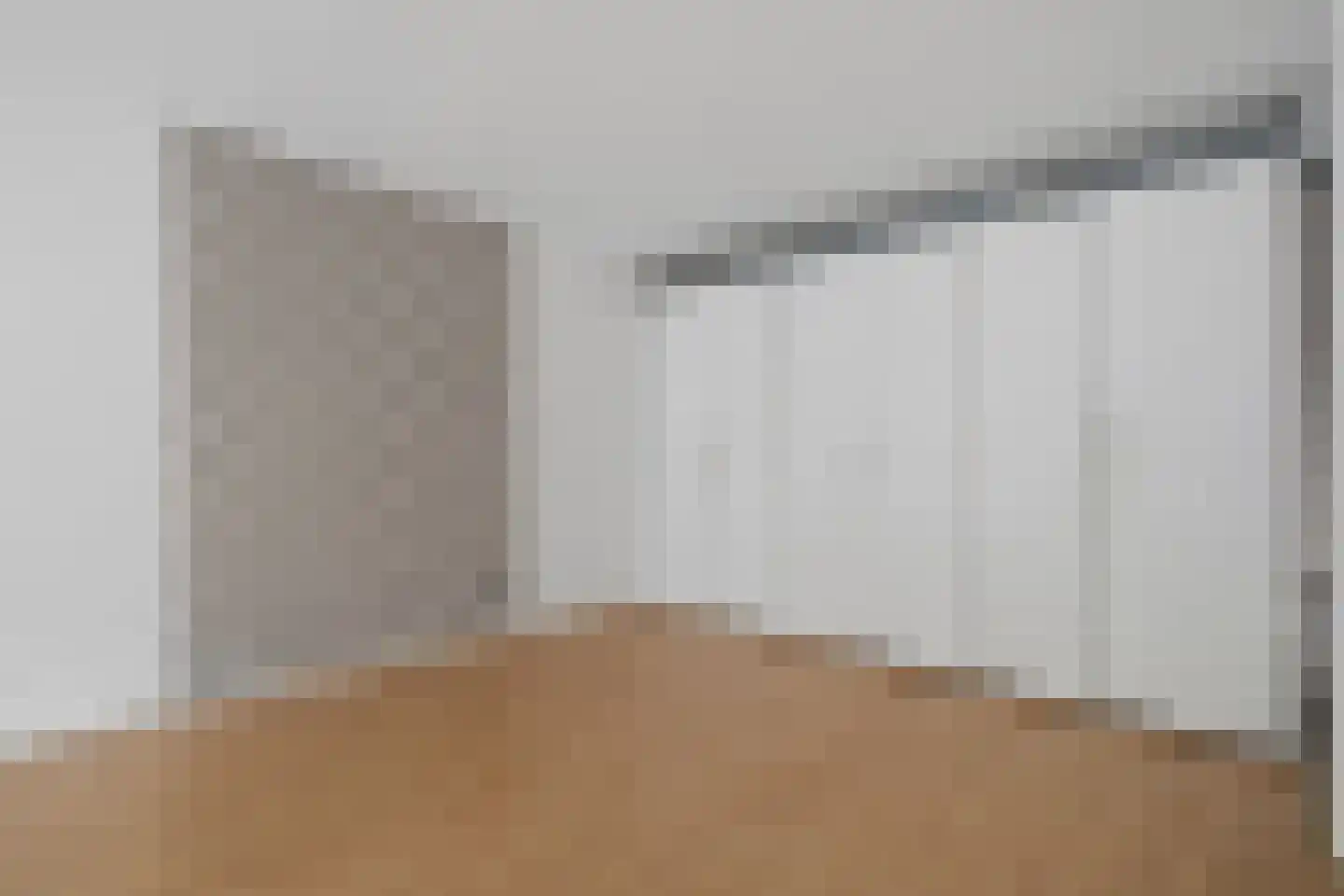Soestdijksekade 557 Den Haag thumbnail 5