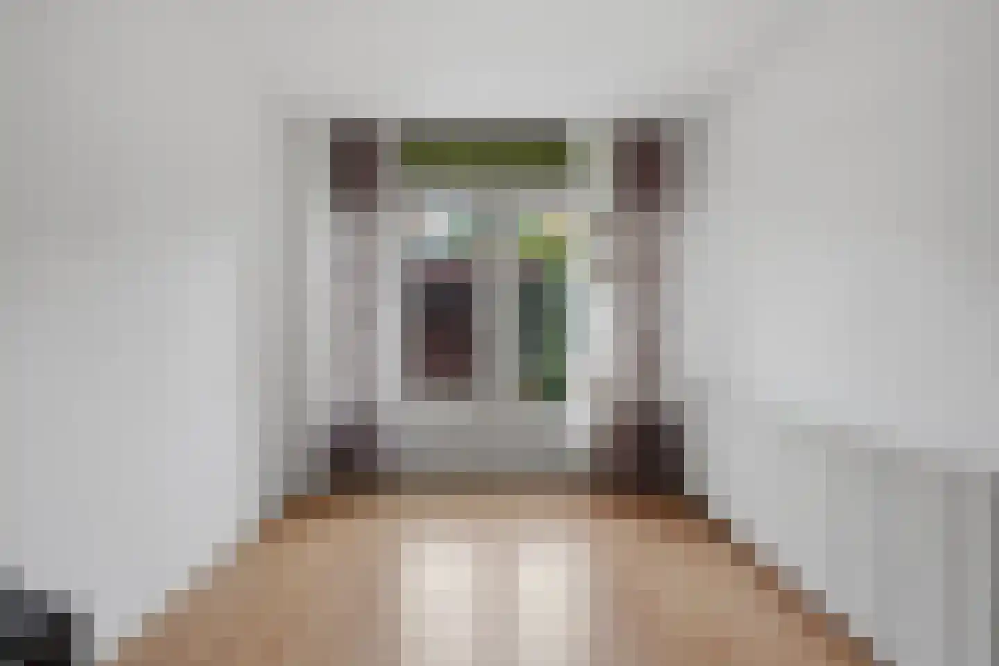 Soestdijksekade 557 Den Haag thumbnail 6