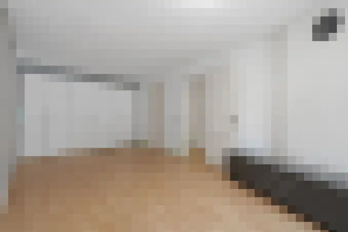 Soestdijksekade 557 Den Haag thumbnail 7