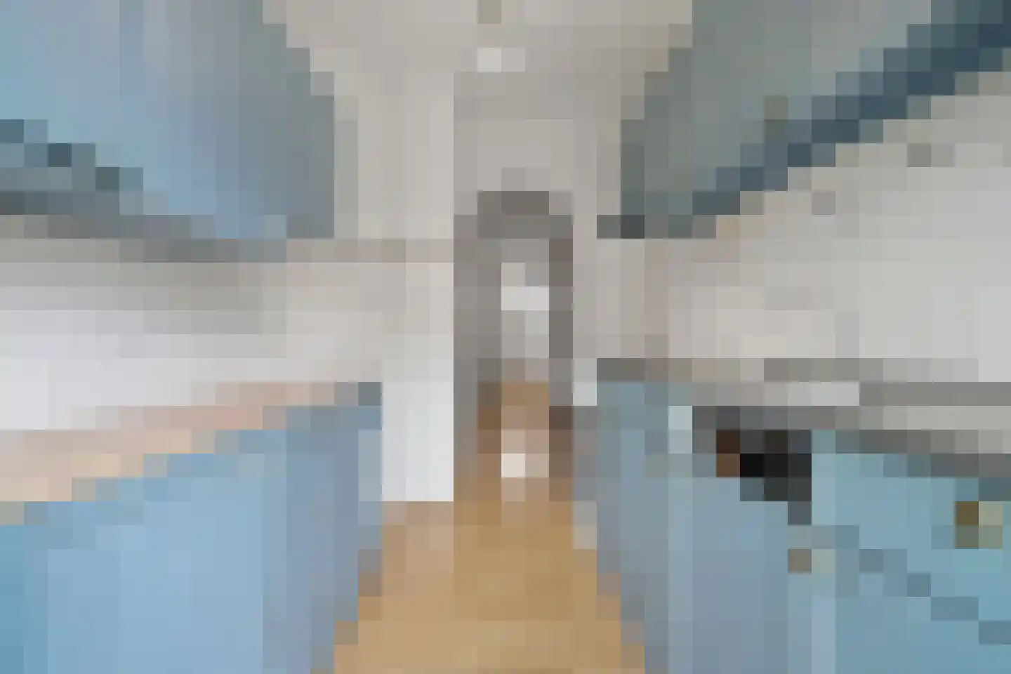 Soestdijksekade 557 Den Haag thumbnail 9