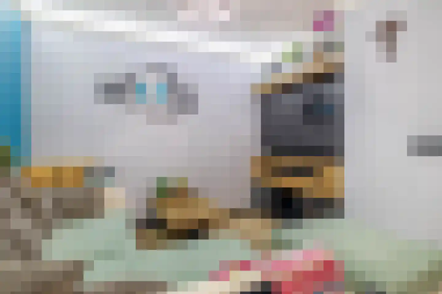 Soestdijksekade 560 Den Haag thumbnail 12