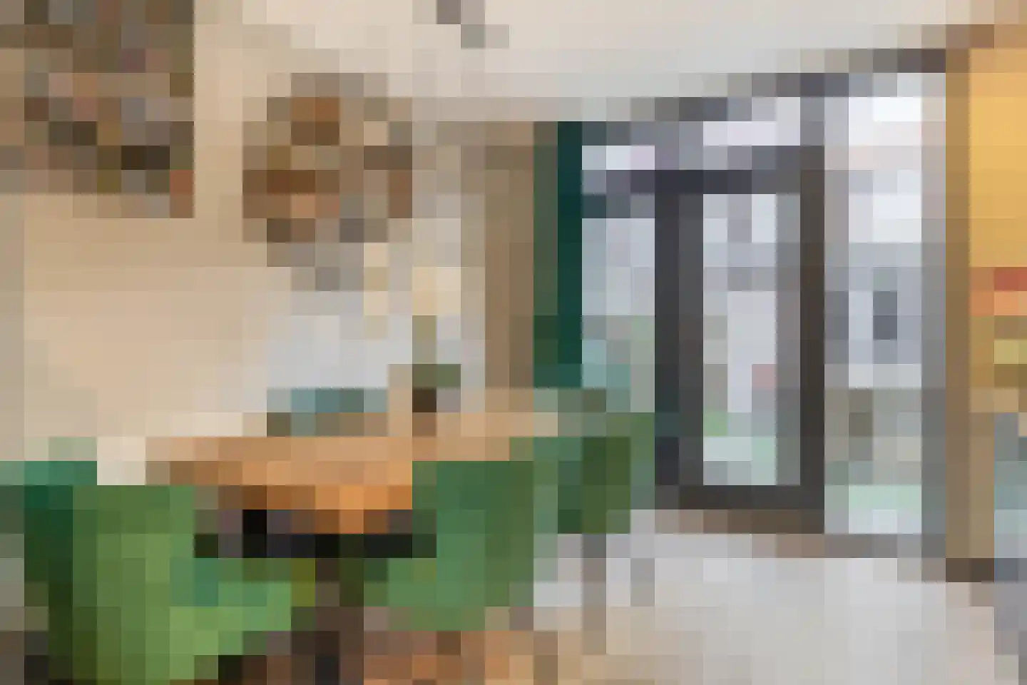 Soestdijksekade 560 Den Haag thumbnail 17