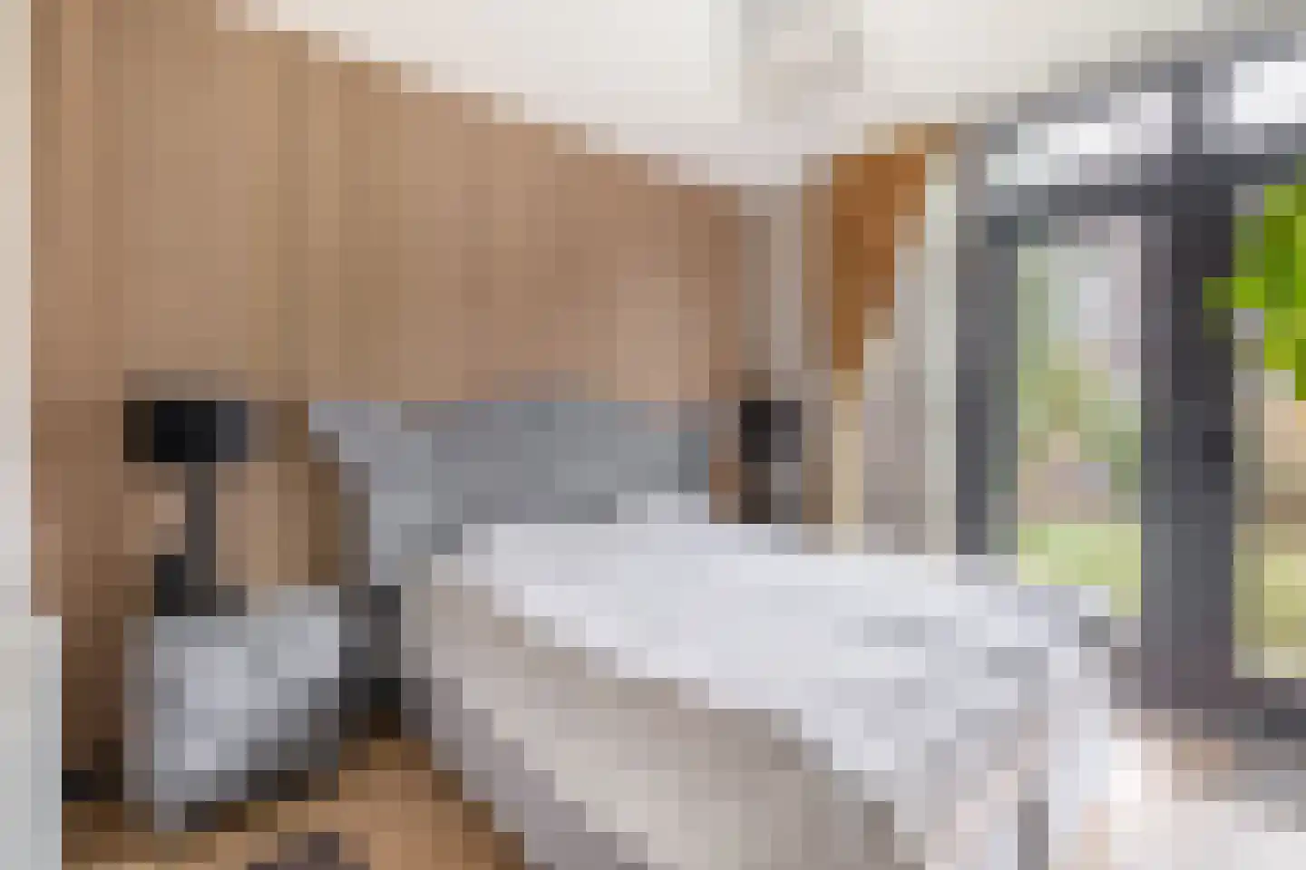 Soestdijksekade 560 Den Haag thumbnail 24