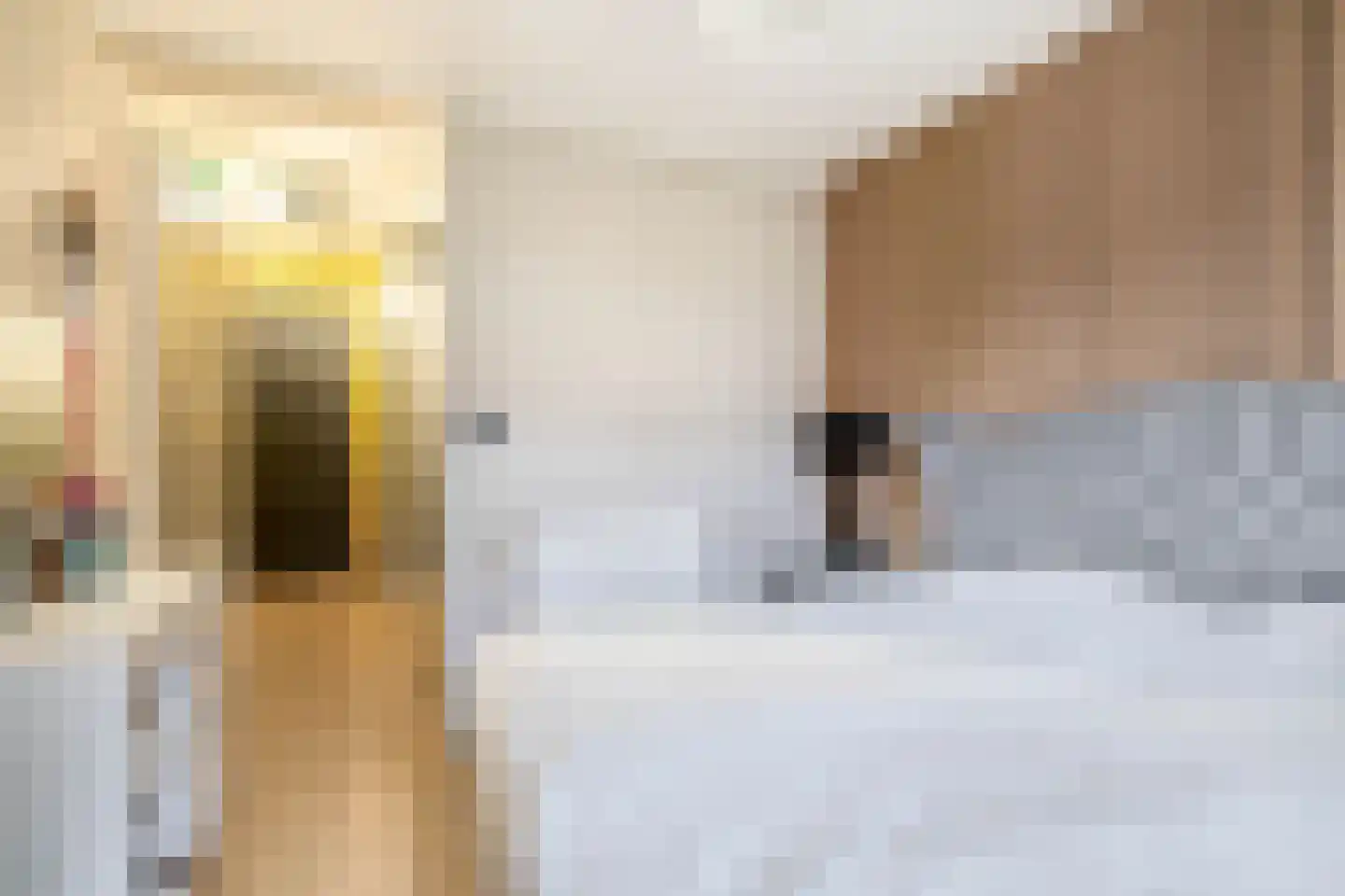 Soestdijksekade 560 Den Haag thumbnail 25
