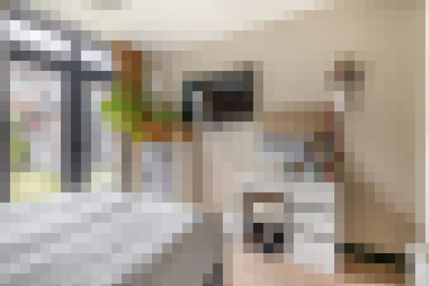 Soestdijksekade 560 Den Haag thumbnail 26