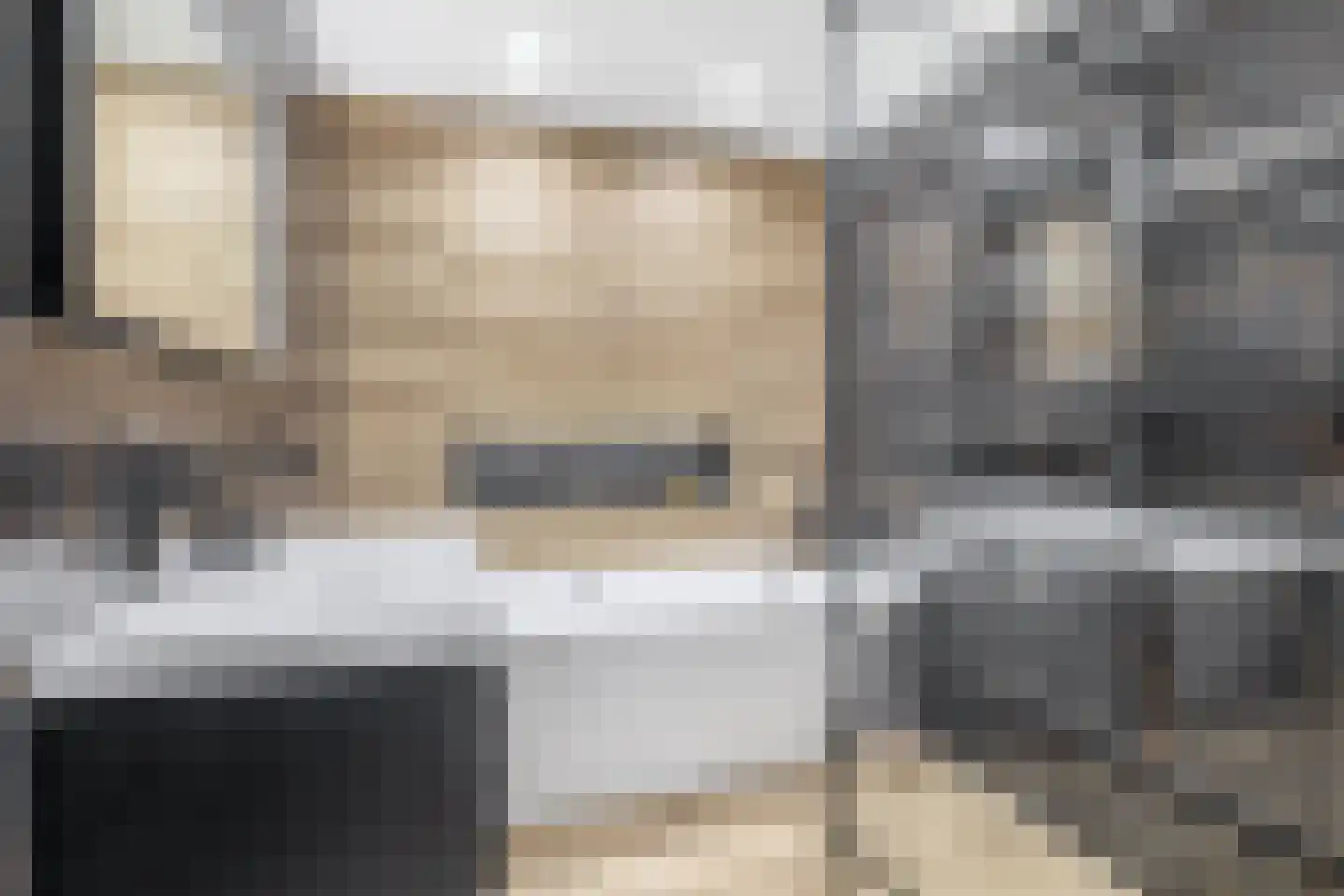 Soestdijksekade 560 Den Haag thumbnail 27