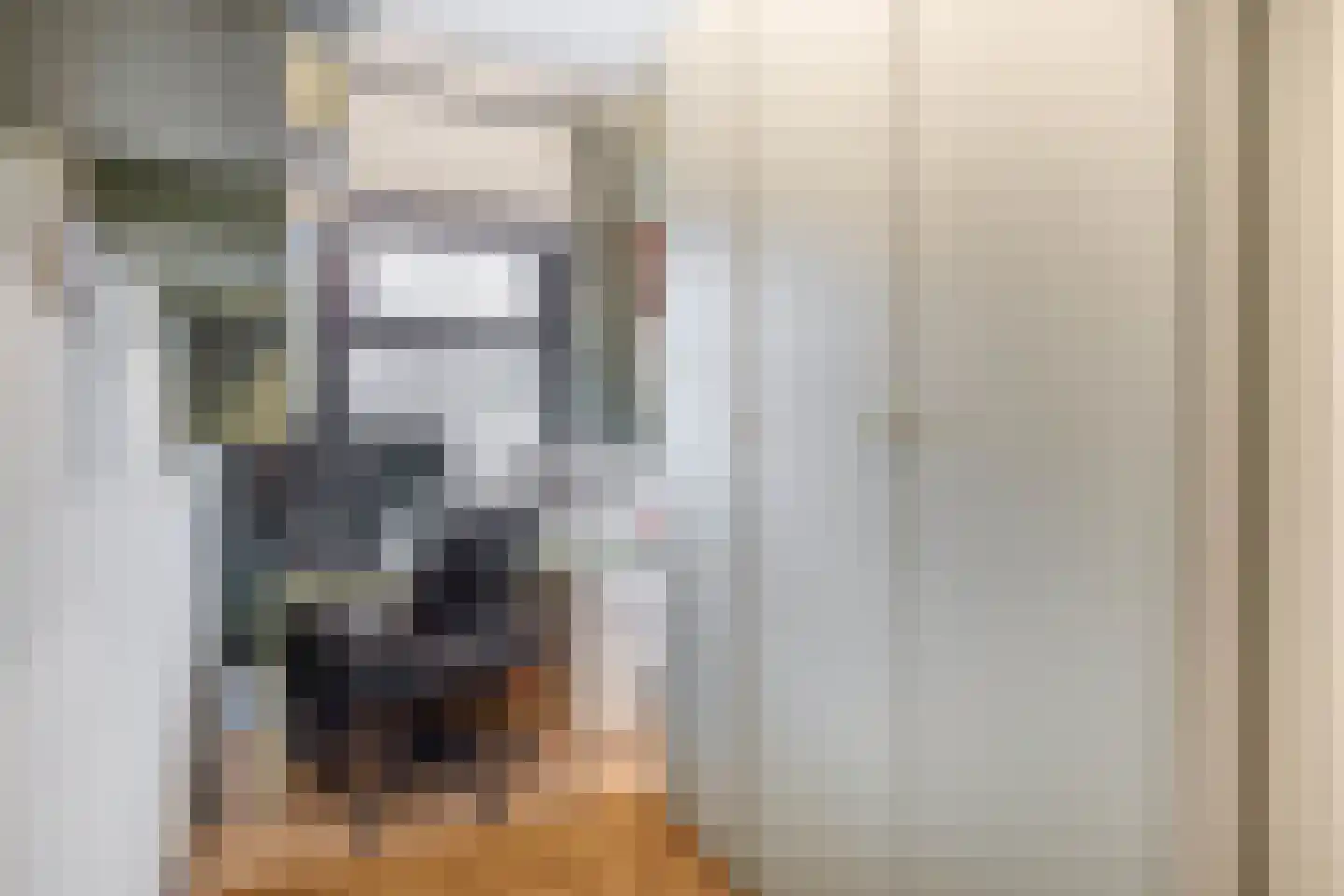 Soestdijksekade 560 Den Haag thumbnail 31