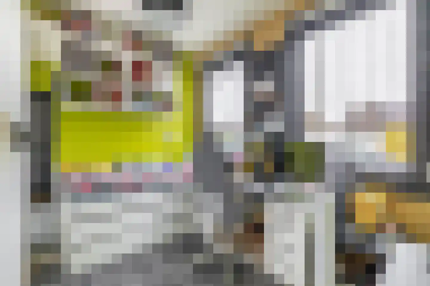 Soestdijksekade 560 Den Haag thumbnail 32