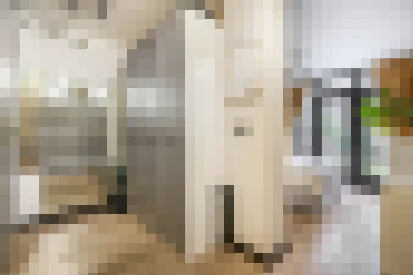 Soestdijksekade 560 Den Haag thumbnail 4