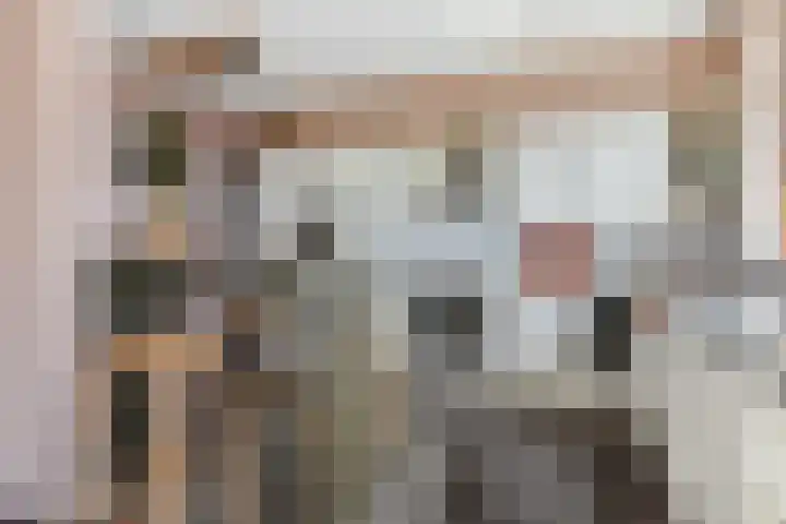 Soestdijksekade 561 Den Haag thumbnail 21