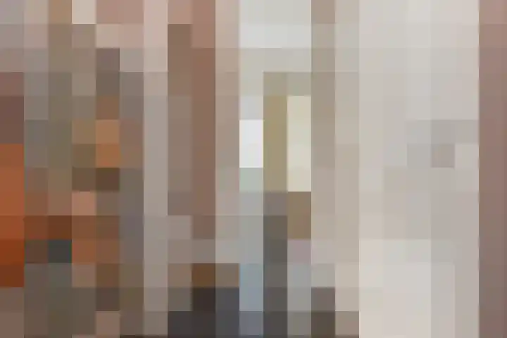 Soestdijksekade 561 Den Haag thumbnail 25