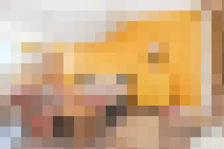 Soestdijksekade 561 Den Haag thumbnail 32
