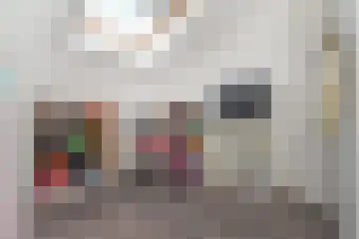 Soestdijksekade 561 Den Haag thumbnail 41