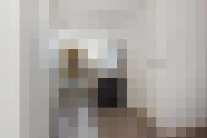 Soestdijksekade 561 Den Haag thumbnail 42