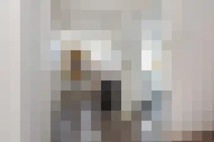 Soestdijksekade 561 Den Haag thumbnail 43