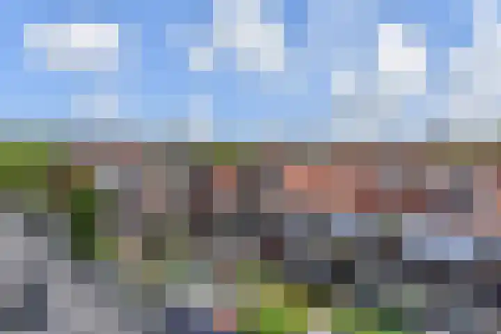 Soestdijksekade 561 Den Haag thumbnail 47
