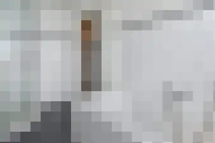 Soestdijksekade 561 Den Haag thumbnail 50