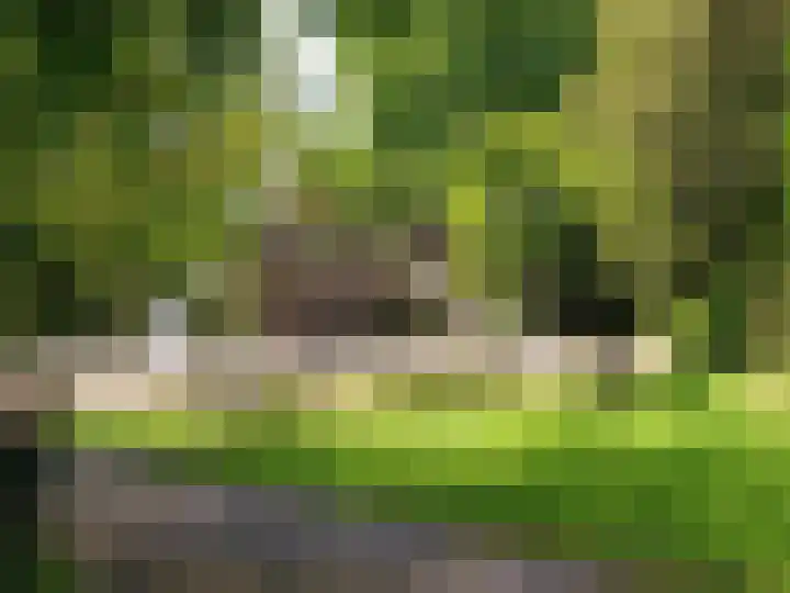 Soestdijksekade 561 Den Haag thumbnail 55