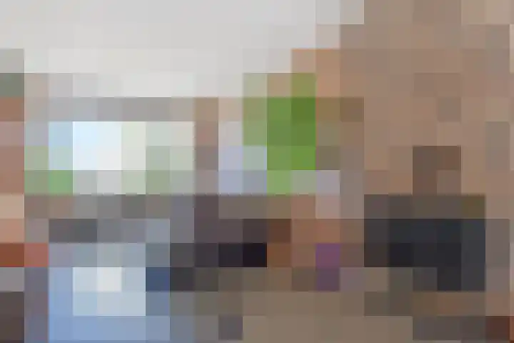 Soestdijksekade 561 Den Haag thumbnail 9