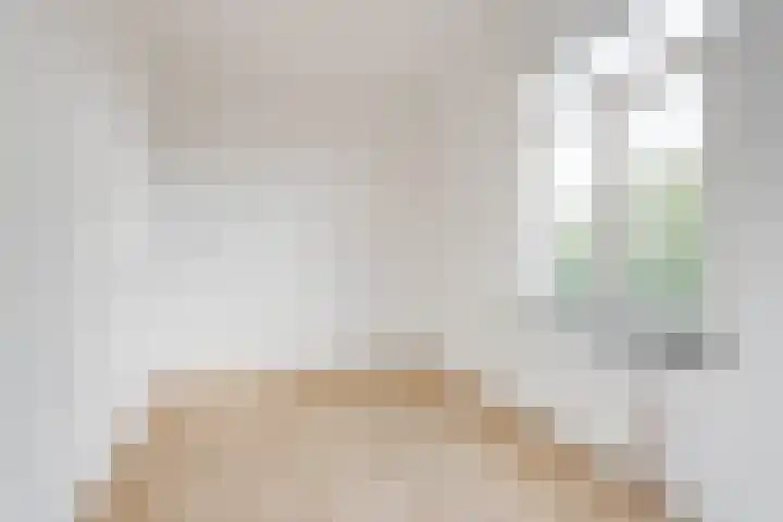 Soestdijksekade 589 Den Haag thumbnail 16