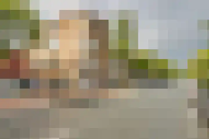 Soestdijksekade 589 Den Haag thumbnail 30