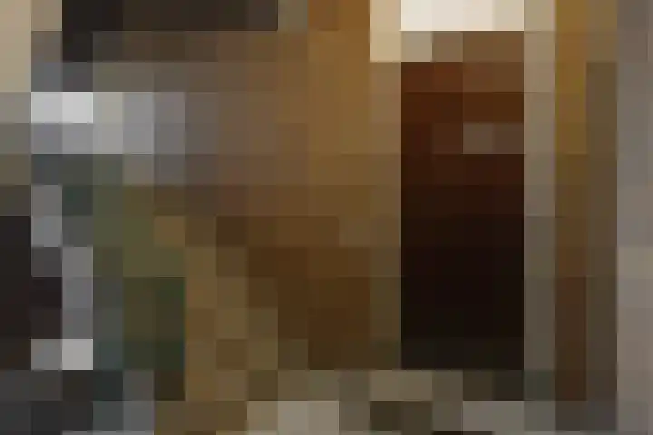Soestdijksekade 589 Den Haag thumbnail 4